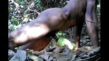 Tarzan xxx porno homosexuell parodie