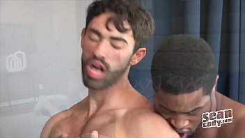 Sex video porno homosexuell sean cody